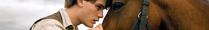 war horse war horse