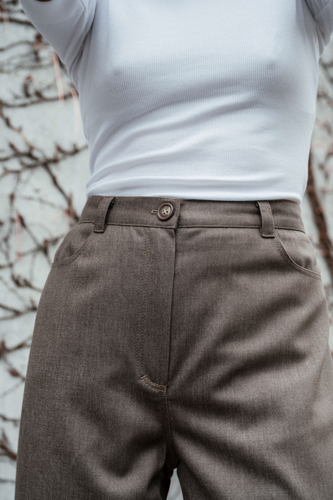 Pants & Shorts Mona wool mocha