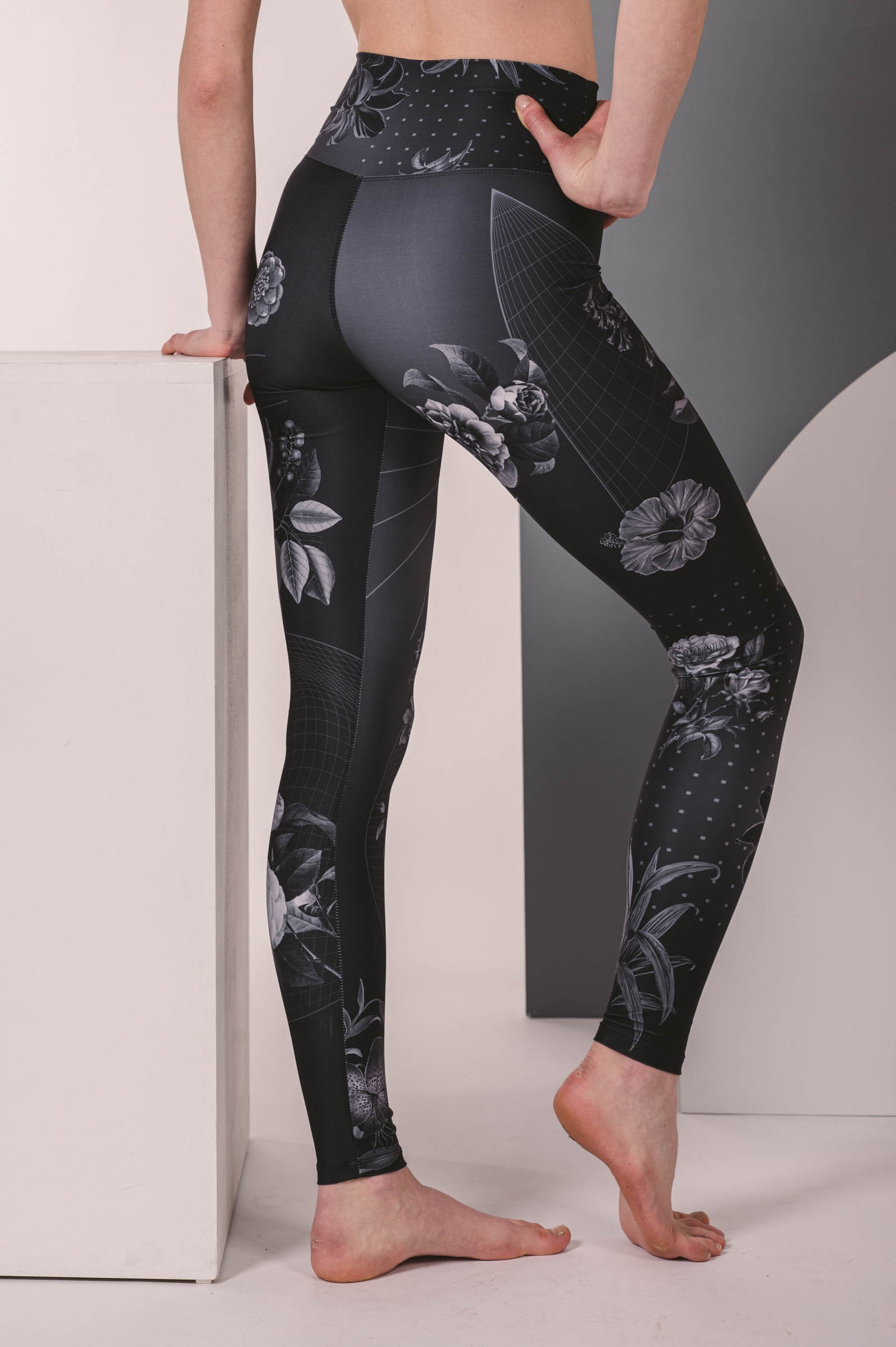 funk�n� leg�ny Night flower �ern�