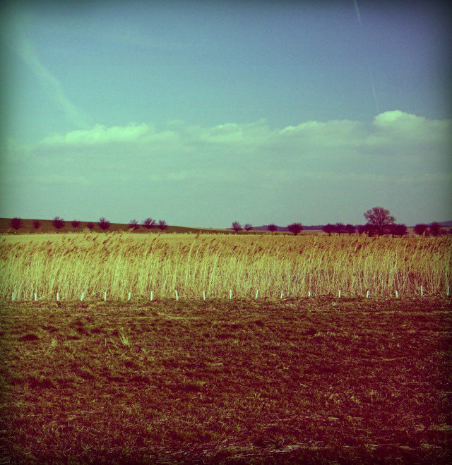 Fotky &ndash; Polaroid memories I.