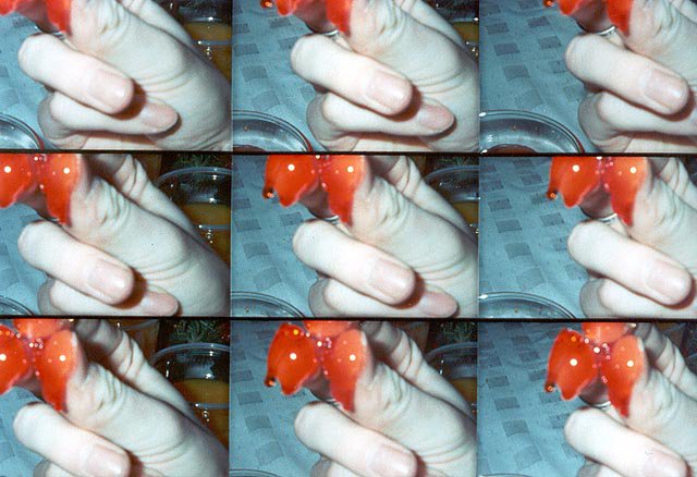 Fotky &ndash; POP 1
