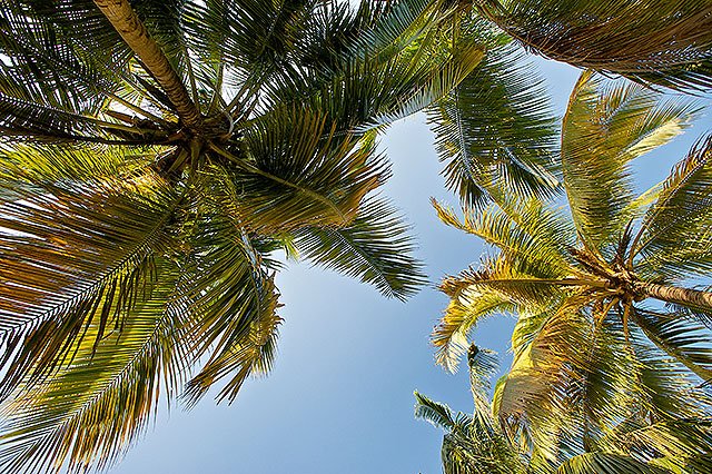Fotky &ndash; Varadero, Matanzas