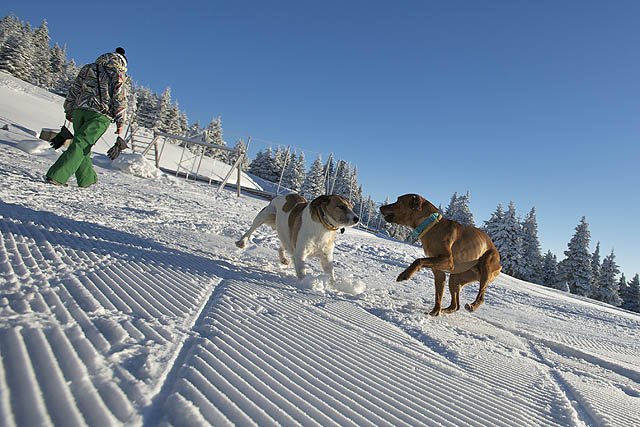 Fotky &ndash; Silvestr 2010