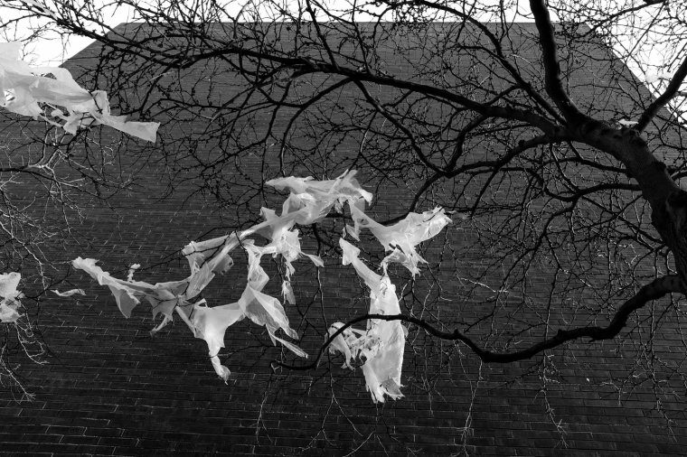 Fotky &ndash; Mishmash 17