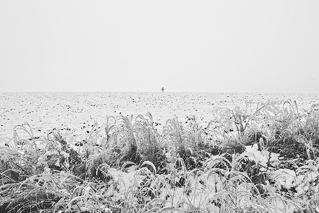 Fotky &ndash; Mishmash 12