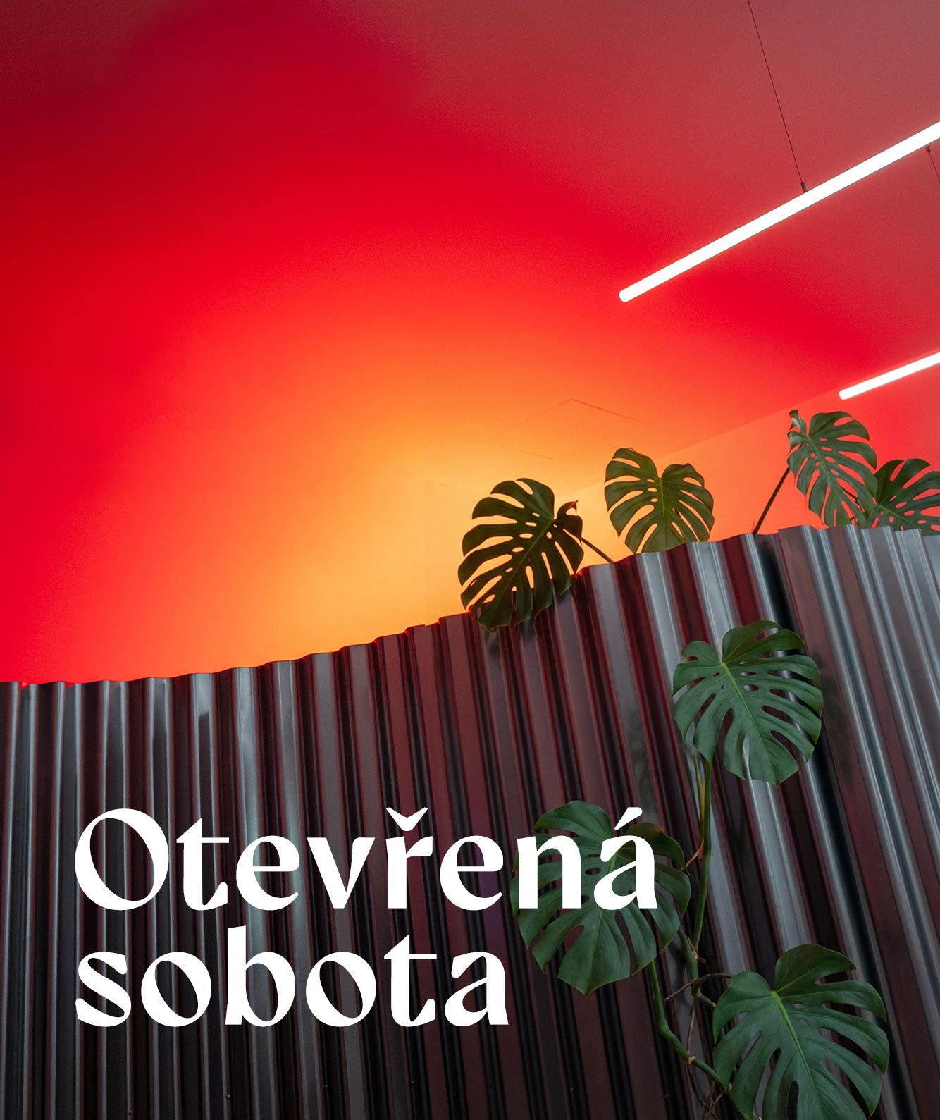 Otev�en� sobota v showroomu